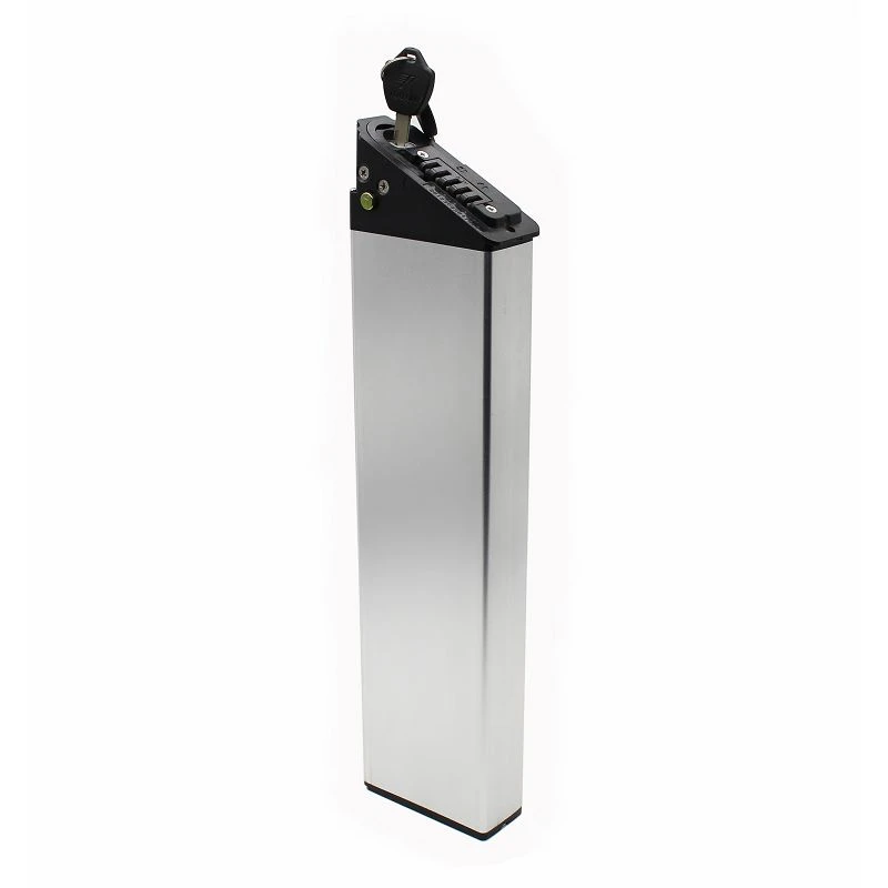 ALX Electric Bike Battery 48V